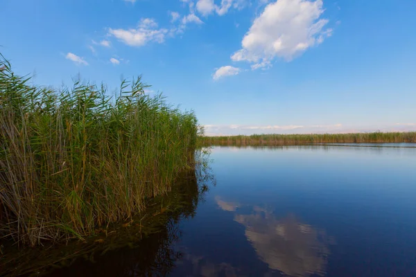 güzel manzara ve sultanmarshes (kuş cenneti) yanındaki erciyes Dağı, kayseri