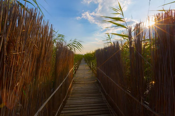 güzel manzara ve sultanmarshes (kuş cenneti) yanındaki erciyes Dağı, kayseri