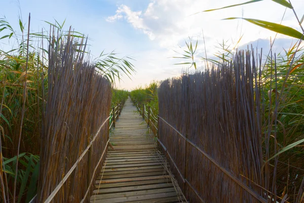 Hermoso Paisaje Sultanmarshes Paraíso Aves Junto Montaña Erciyes Kayseri — Foto de Stock