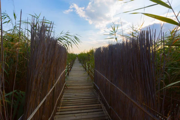 güzel manzara ve sultanmarshes (kuş cenneti) yanındaki erciyes Dağı, kayseri