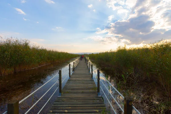 güzel manzara ve sultanmarshes (kuş cenneti) yanındaki erciyes Dağı, kayseri