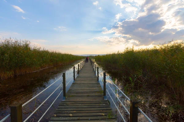güzel manzara ve sultanmarshes (kuş cenneti) yanındaki erciyes Dağı, kayseri