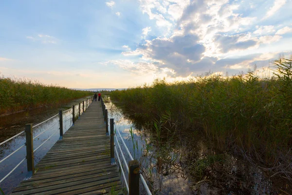 güzel manzara ve sultanmarshes (kuş cenneti) yanındaki erciyes Dağı, kayseri