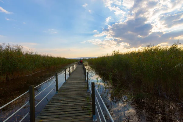 güzel manzara ve sultanmarshes (kuş cenneti) yanındaki erciyes Dağı, kayseri
