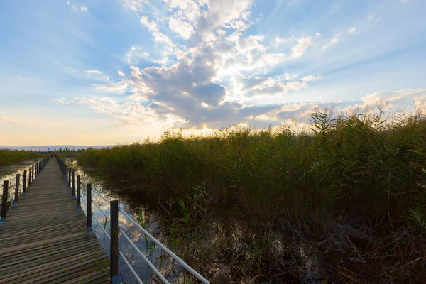 güzel manzara ve sultanmarshes (kuş cenneti) yanındaki erciyes Dağı, kayseri