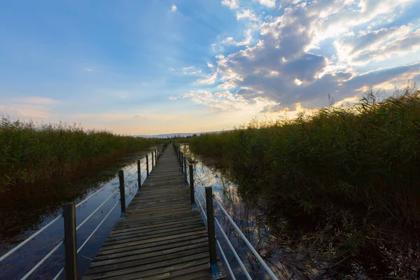 güzel manzara ve sultanmarshes (kuş cenneti) yanındaki erciyes Dağı, kayseri