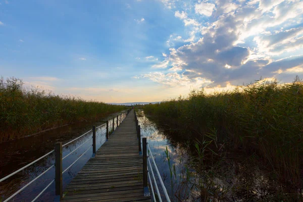 güzel manzara ve sultanmarshes (kuş cenneti) yanındaki erciyes Dağı, kayseri