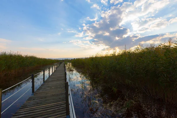 güzel manzara ve sultanmarshes (kuş cenneti) yanındaki erciyes Dağı, kayseri