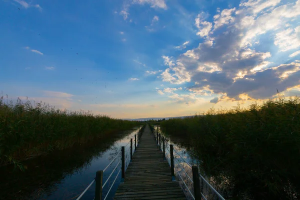 güzel manzara ve sultanmarshes (kuş cenneti) yanındaki erciyes Dağı, kayseri