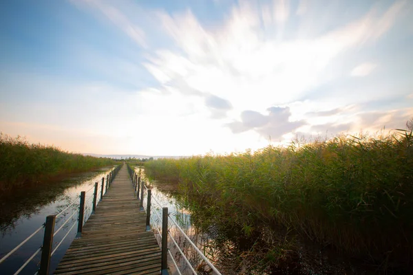 güzel manzara ve sultanmarshes (kuş cenneti) yanındaki erciyes Dağı, kayseri