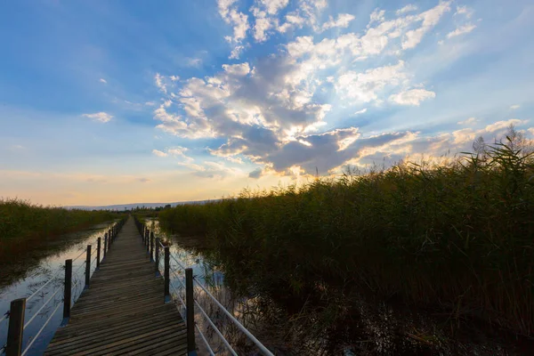 güzel manzara ve sultanmarshes (kuş cenneti) yanındaki erciyes Dağı, kayseri