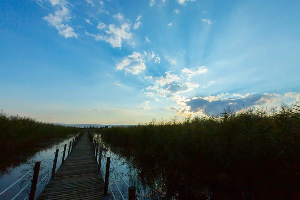 güzel manzara ve sultanmarshes (kuş cenneti) yanındaki erciyes Dağı, kayseri