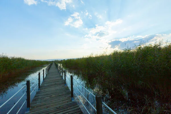 güzel manzara ve sultanmarshes (kuş cenneti) yanındaki erciyes Dağı, kayseri