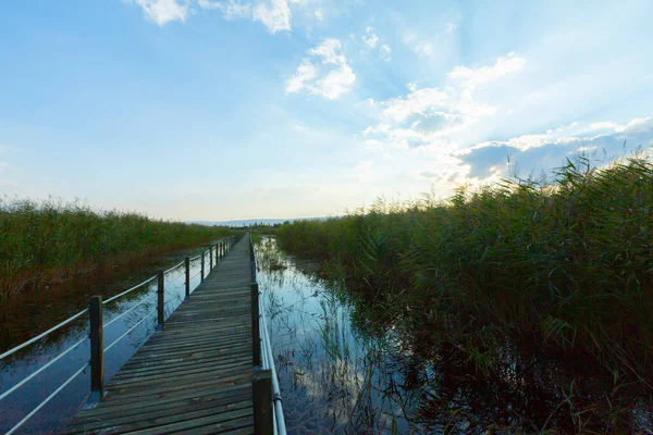 güzel manzara ve sultanmarshes (kuş cenneti) yanındaki erciyes Dağı, kayseri
