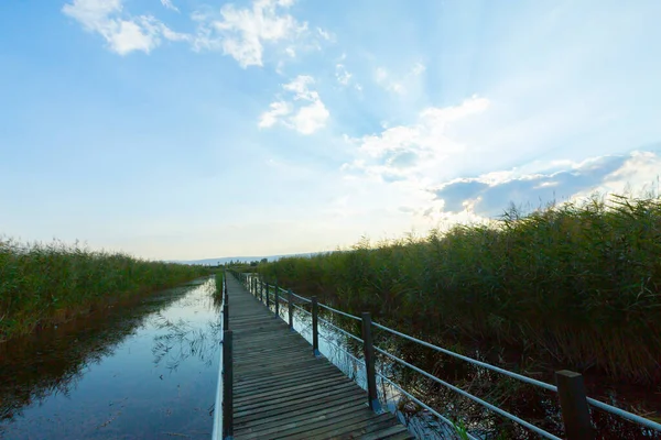 güzel manzara ve sultanmarshes (kuş cenneti) yanındaki erciyes Dağı, kayseri