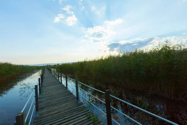 güzel manzara ve sultanmarshes (kuş cenneti) yanındaki erciyes Dağı, kayseri