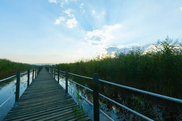 güzel manzara ve sultanmarshes (kuş cenneti) yanındaki erciyes Dağı, kayseri