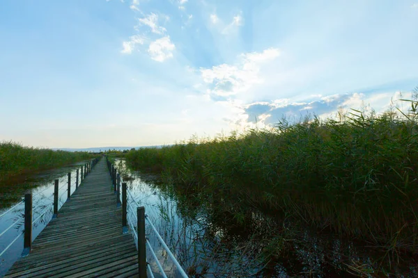 güzel manzara ve sultanmarshes (kuş cenneti) yanındaki erciyes Dağı, kayseri