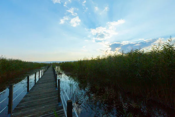 güzel manzara ve sultanmarshes (kuş cenneti) yanındaki erciyes Dağı, kayseri