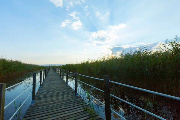 güzel manzara ve sultanmarshes (kuş cenneti) yanındaki erciyes Dağı, kayseri