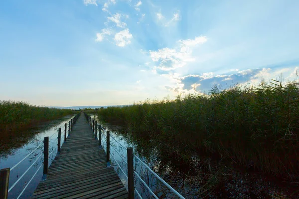 güzel manzara ve sultanmarshes (kuş cenneti) yanındaki erciyes Dağı, kayseri