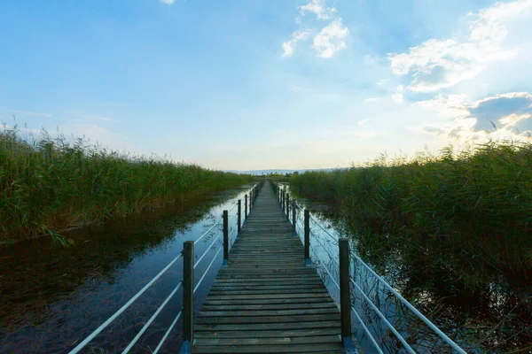 güzel manzara ve sultanmarshes (kuş cenneti) yanındaki erciyes Dağı, kayseri