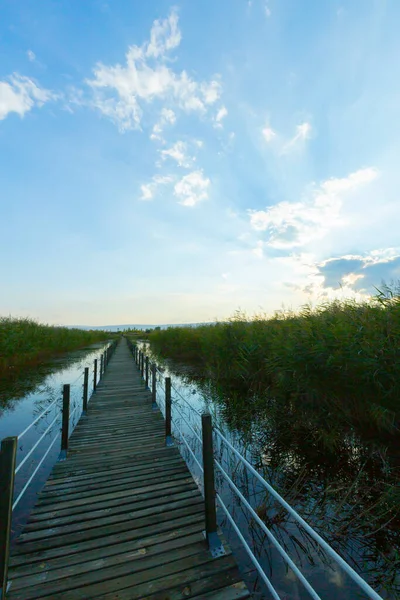 güzel manzara ve sultanmarshes (kuş cenneti) yanındaki erciyes Dağı, kayseri