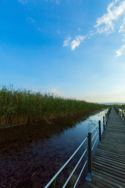 güzel manzara ve sultanmarshes (kuş cenneti) yanındaki erciyes Dağı, kayseri