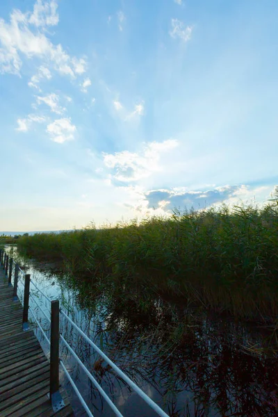 güzel manzara ve sultanmarshes (kuş cenneti) yanındaki erciyes Dağı, kayseri