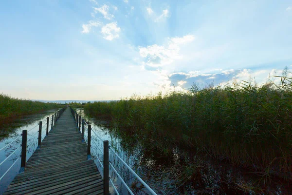 güzel manzara ve sultanmarshes (kuş cenneti) yanındaki erciyes Dağı, kayseri
