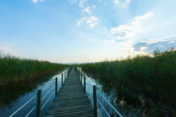güzel manzara ve sultanmarshes (kuş cenneti) yanındaki erciyes Dağı, kayseri