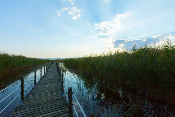 güzel manzara ve sultanmarshes (kuş cenneti) yanındaki erciyes Dağı, kayseri
