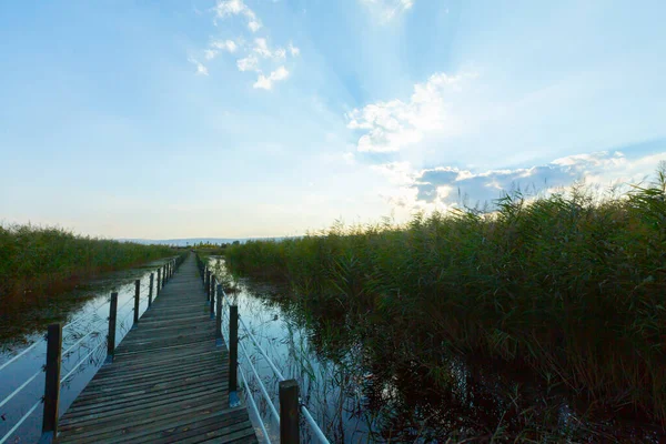 güzel manzara ve sultanmarshes (kuş cenneti) yanındaki erciyes Dağı, kayseri