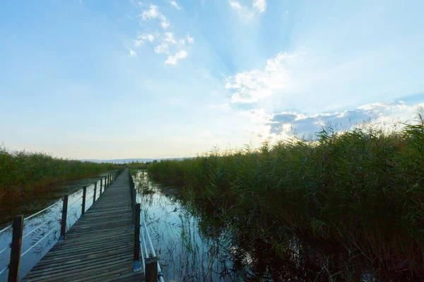 güzel manzara ve sultanmarshes (kuş cenneti) yanındaki erciyes Dağı, kayseri