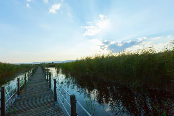 güzel manzara ve sultanmarshes (kuş cenneti) yanındaki erciyes Dağı, kayseri