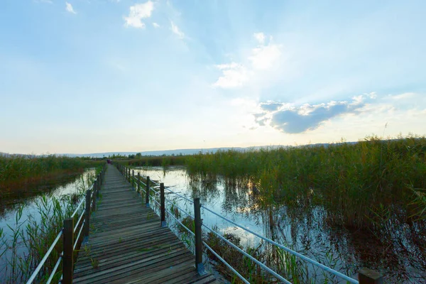 güzel manzara ve sultanmarshes (kuş cenneti) yanındaki erciyes Dağı, kayseri