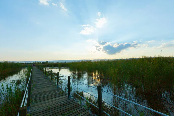 güzel manzara ve sultanmarshes (kuş cenneti) yanındaki erciyes Dağı, kayseri