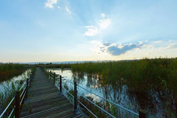 güzel manzara ve sultanmarshes (kuş cenneti) yanındaki erciyes Dağı, kayseri