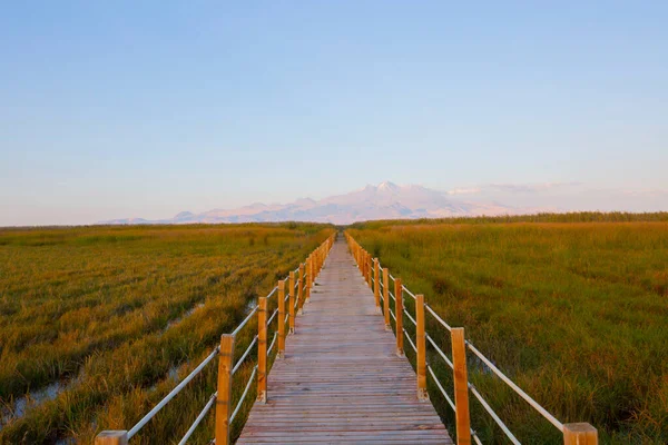 güzel manzara ve sultanmarshes (kuş cenneti) yanındaki erciyes Dağı, kayseri