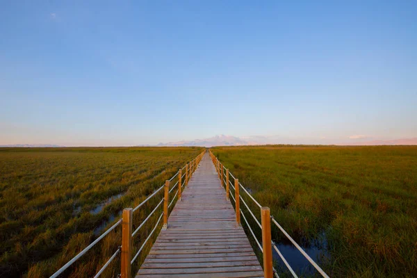 güzel manzara ve sultanmarshes (kuş cenneti) yanındaki erciyes Dağı, kayseri