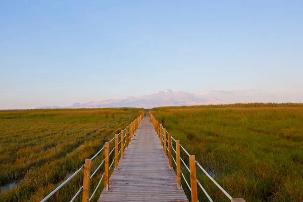 güzel manzara ve sultanmarshes (kuş cenneti) yanındaki erciyes Dağı, kayseri