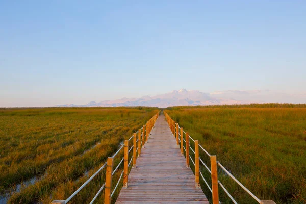 güzel manzara ve sultanmarshes (kuş cenneti) yanındaki erciyes Dağı, kayseri