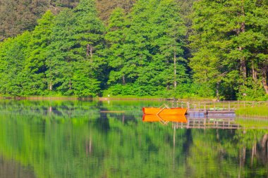 Borcka Karagol (Karadeniz) Artvin, Türkiye 'nin kuzeydoğusunda Karadeniz' den yaklaşık 30 km içeride yer alan bir şehirdir. Dağlarında inanılmaz platolar ve küçük kraterler bulunur..