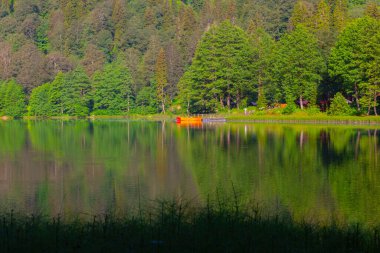 Borcka Karagol (Karadeniz) Artvin, Türkiye 'nin kuzeydoğusunda Karadeniz' den yaklaşık 30 km içeride yer alan bir şehirdir. Dağlarında inanılmaz platolar ve küçük kraterler bulunur..