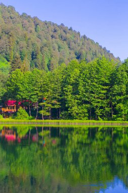 Borcka Karagol (Karadeniz) Artvin, Türkiye 'nin kuzeydoğusunda Karadeniz' den yaklaşık 30 km içeride yer alan bir şehirdir. Dağlarında inanılmaz platolar ve küçük kraterler bulunur..