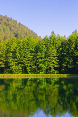 Borcka Karagol (Karadeniz) Artvin, Türkiye 'nin kuzeydoğusunda Karadeniz' den yaklaşık 30 km içeride yer alan bir şehirdir. Dağlarında inanılmaz platolar ve küçük kraterler bulunur..