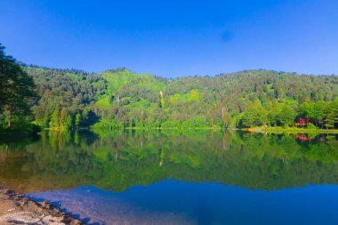 Borcka Karagol (Karadeniz) Artvin, Türkiye 'nin kuzeydoğusunda Karadeniz' den yaklaşık 30 km içeride yer alan bir şehirdir. Dağlarında inanılmaz platolar ve küçük kraterler bulunur..