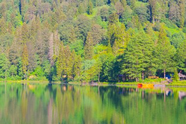 Borcka Karagol (Karadeniz) Artvin, Türkiye 'nin kuzeydoğusunda Karadeniz' den yaklaşık 30 km içeride yer alan bir şehirdir. Dağlarında inanılmaz platolar ve küçük kraterler bulunur..