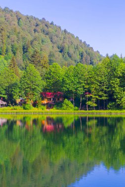Borcka Karagol (Karadeniz) Artvin, Türkiye 'nin kuzeydoğusunda Karadeniz' den yaklaşık 30 km içeride yer alan bir şehirdir. Dağlarında inanılmaz platolar ve küçük kraterler bulunur..