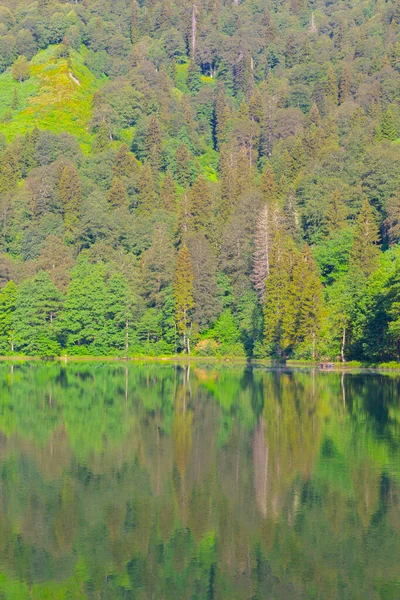 Borcka Karagol Black Lake Panorama Landscape Artvin City Northeastern Turkey — Stockfoto